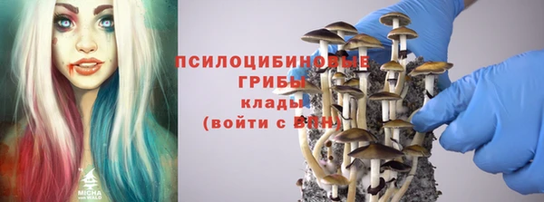 спайс Алексин