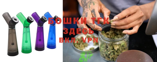 ГАЛЛЮЦИНОГЕННЫЕ ГРИБЫ Семёнов