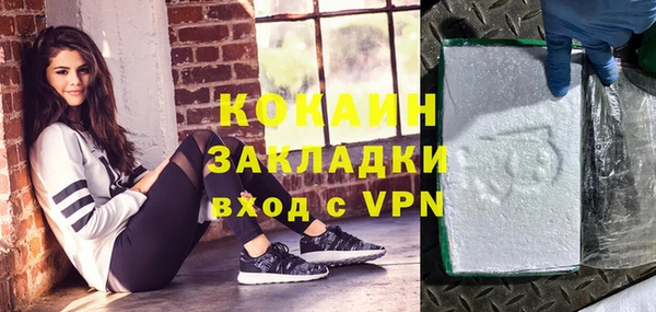 ГАЛЛЮЦИНОГЕННЫЕ ГРИБЫ Семёнов