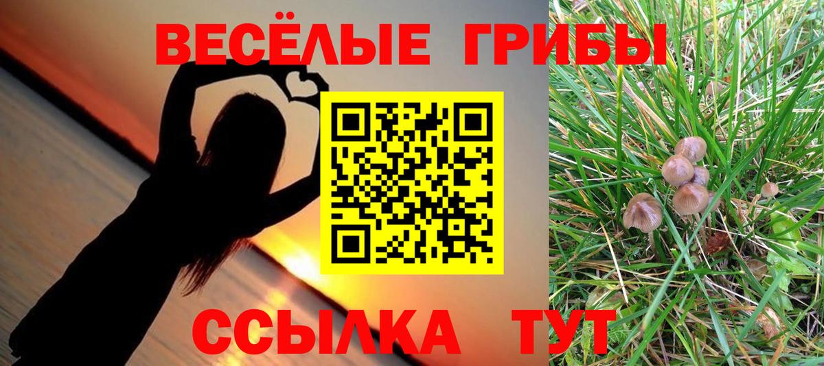 Галлюциногенные грибы GOLDEN TEACHER  Вход с VPN  Югорск  Галлюциногенные грибы Magic Shrooms 