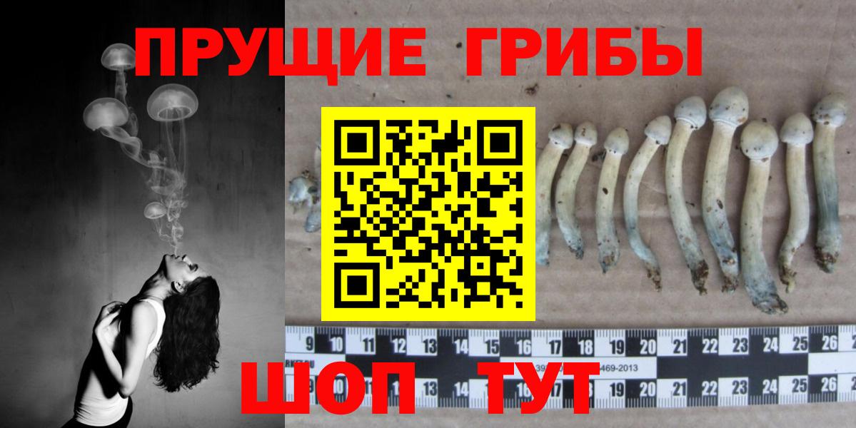 Галлюциногенные грибы мухоморы Югорск